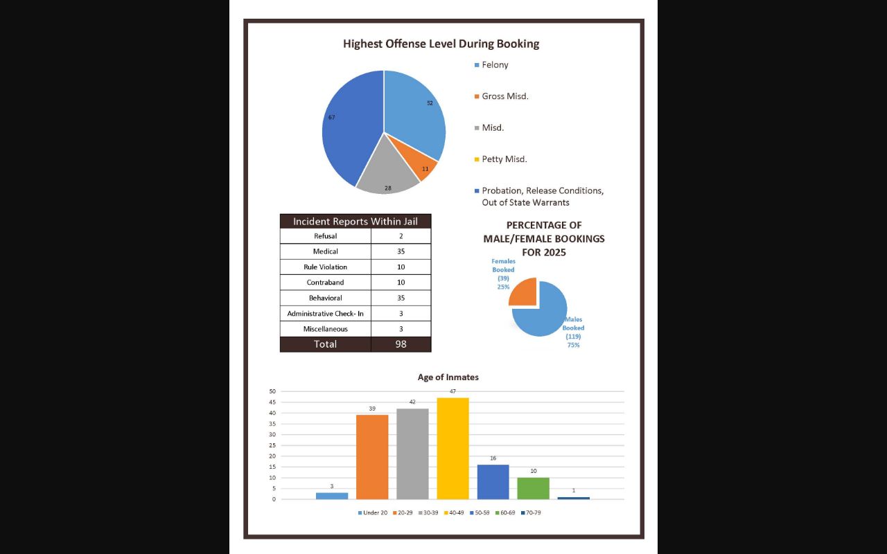 Traverse County inmate population demographics and jail incident report data